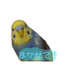 れんこん動物園（個別スタンプ：14）