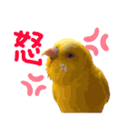 れんこん動物園（個別スタンプ：19）