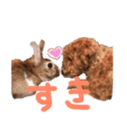 れんこん動物園（個別スタンプ：25）