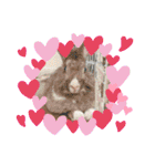 れんこん動物園（個別スタンプ：27）