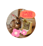 れんこん動物園（個別スタンプ：29）