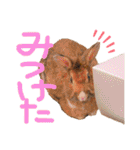 れんこん動物園（個別スタンプ：30）