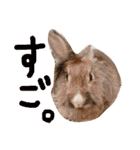 れんこん動物園（個別スタンプ：32）