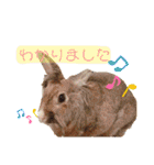 れんこん動物園（個別スタンプ：33）