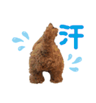 れんこん動物園（個別スタンプ：37）