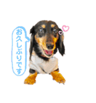 べるたんの日常5（個別スタンプ：5）