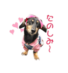 べるたんの日常5（個別スタンプ：9）