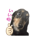 べるたんの日常5（個別スタンプ：14）