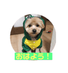 サスケの日常4（個別スタンプ：3）