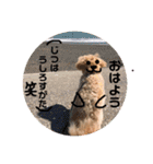 サスケの日常4（個別スタンプ：4）