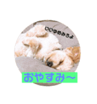 サスケの日常4（個別スタンプ：5）
