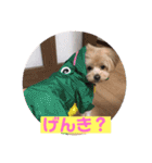 サスケの日常4（個別スタンプ：6）