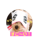 サスケの日常4（個別スタンプ：14）