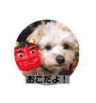 サスケの日常4（個別スタンプ：16）