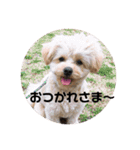サスケの日常4（個別スタンプ：20）