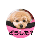サスケの日常4（個別スタンプ：22）