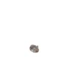 ハムスターこうしくんの使いやすいスタンプ（個別スタンプ：20）