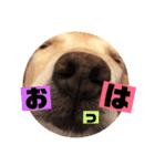 なみえちゃん♡（個別スタンプ：2）