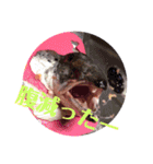 ゆいしゃねる（個別スタンプ：11）