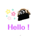 可愛い動物達の日常スタンプ（個別スタンプ：1）