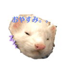 可愛い動物達の日常スタンプ（個別スタンプ：4）