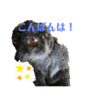 可愛い動物達の日常スタンプ（個別スタンプ：5）
