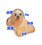 田中家の華麗なる イヌさん達（個別スタンプ：5）