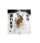 田中家の華麗なる イヌさん達（個別スタンプ：6）
