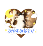 田中家の華麗なる イヌさん達（個別スタンプ：7）
