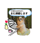 田中家の華麗なる イヌさん達（個別スタンプ：22）