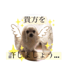 田中家の華麗なる イヌさん達（個別スタンプ：28）
