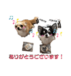 田中家の華麗なる イヌさん達（個別スタンプ：36）
