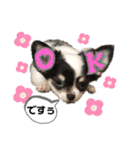 田中家の華麗なる イヌさん達（個別スタンプ：38）