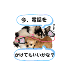 田中家の華麗なる イヌさん達（個別スタンプ：39）