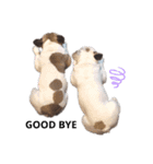 SBJ兄弟II（個別スタンプ：19）