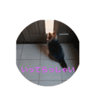 すず姫（個別スタンプ：1）