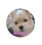 すず姫（個別スタンプ：2）