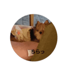 すず姫（個別スタンプ：7）