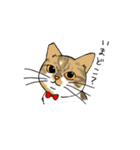 動愛スタンプ第3弾〜ともだちバージョン〜（個別スタンプ：21）