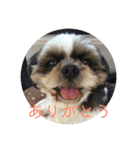 えちゃんすたんぷ（個別スタンプ：4）