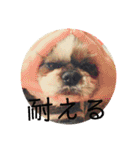 えちゃんすたんぷ（個別スタンプ：11）