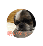 えちゃんすたんぷ（個別スタンプ：13）