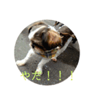 えちゃんすたんぷ（個別スタンプ：18）