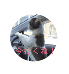 えちゃんすたんぷ（個別スタンプ：23）