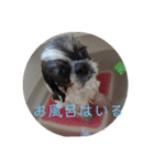 えちゃんすたんぷ（個別スタンプ：24）