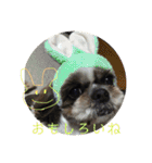 えちゃんすたんぷ（個別スタンプ：27）