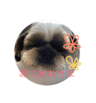 えちゃんすたんぷ（個別スタンプ：32）