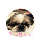 えちゃんすたんぷ（個別スタンプ：39）