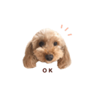 うちのぺこ（個別スタンプ：1）