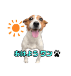 おもしろ犬リックの元気が出るスタンプ（個別スタンプ：1）